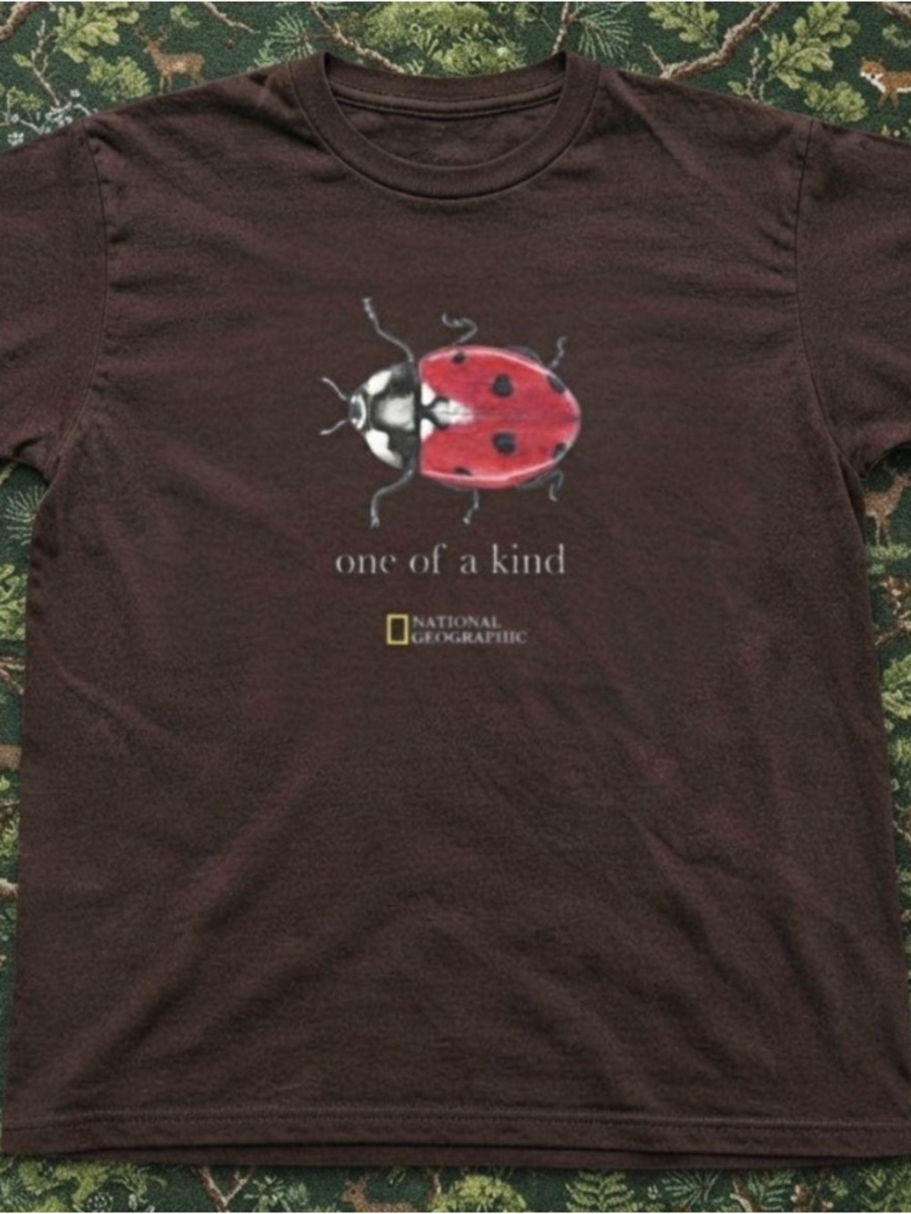 Gildan Brown T-shirt with Red Ladybug Graphic